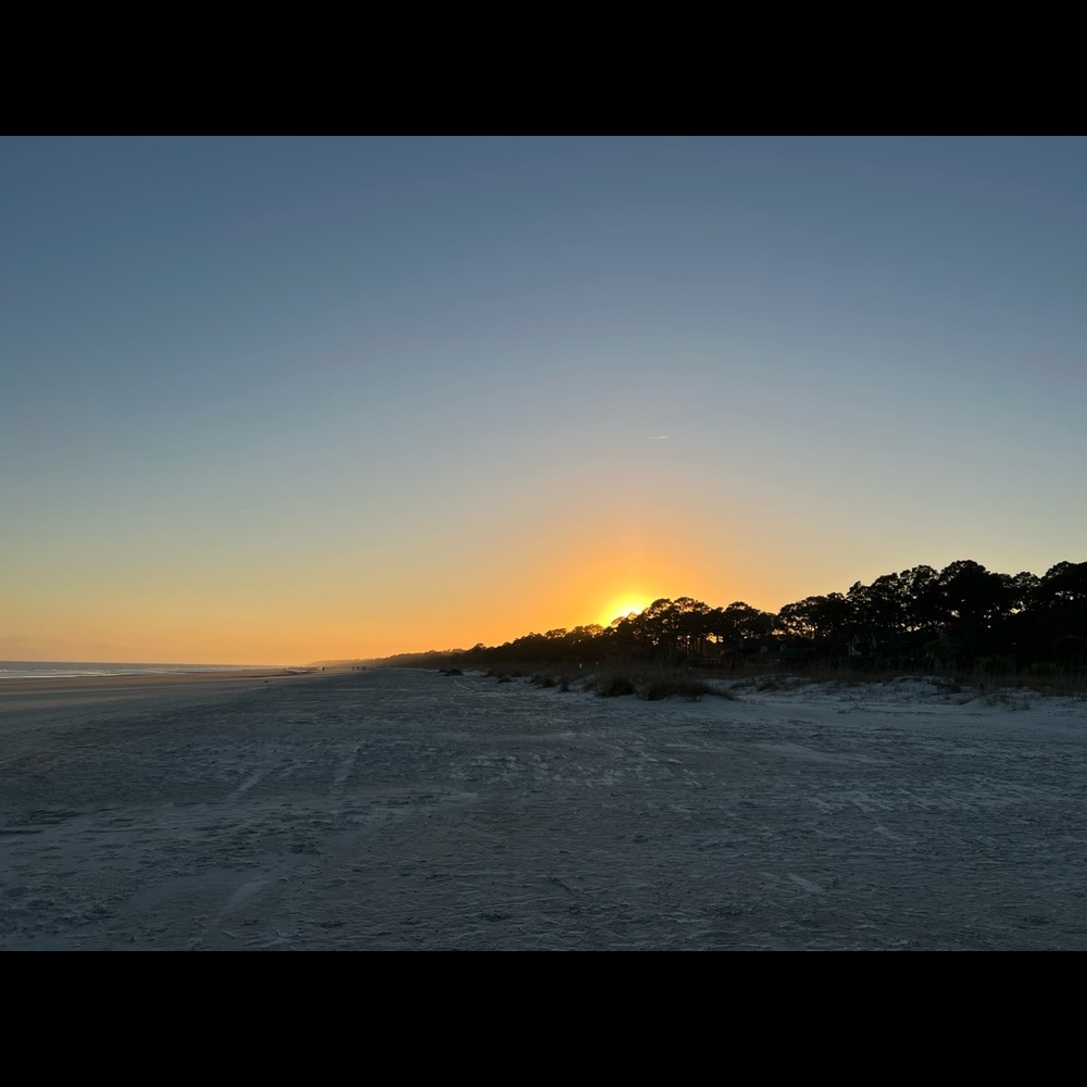 Meet your Posher, Laurel